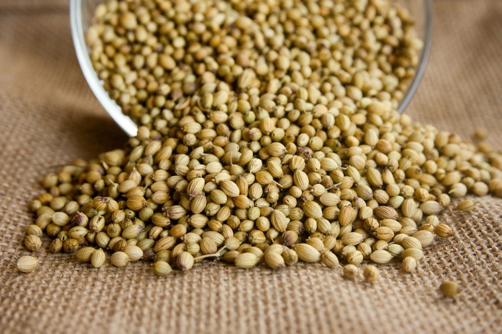 coriander, number 11 on our list of spices