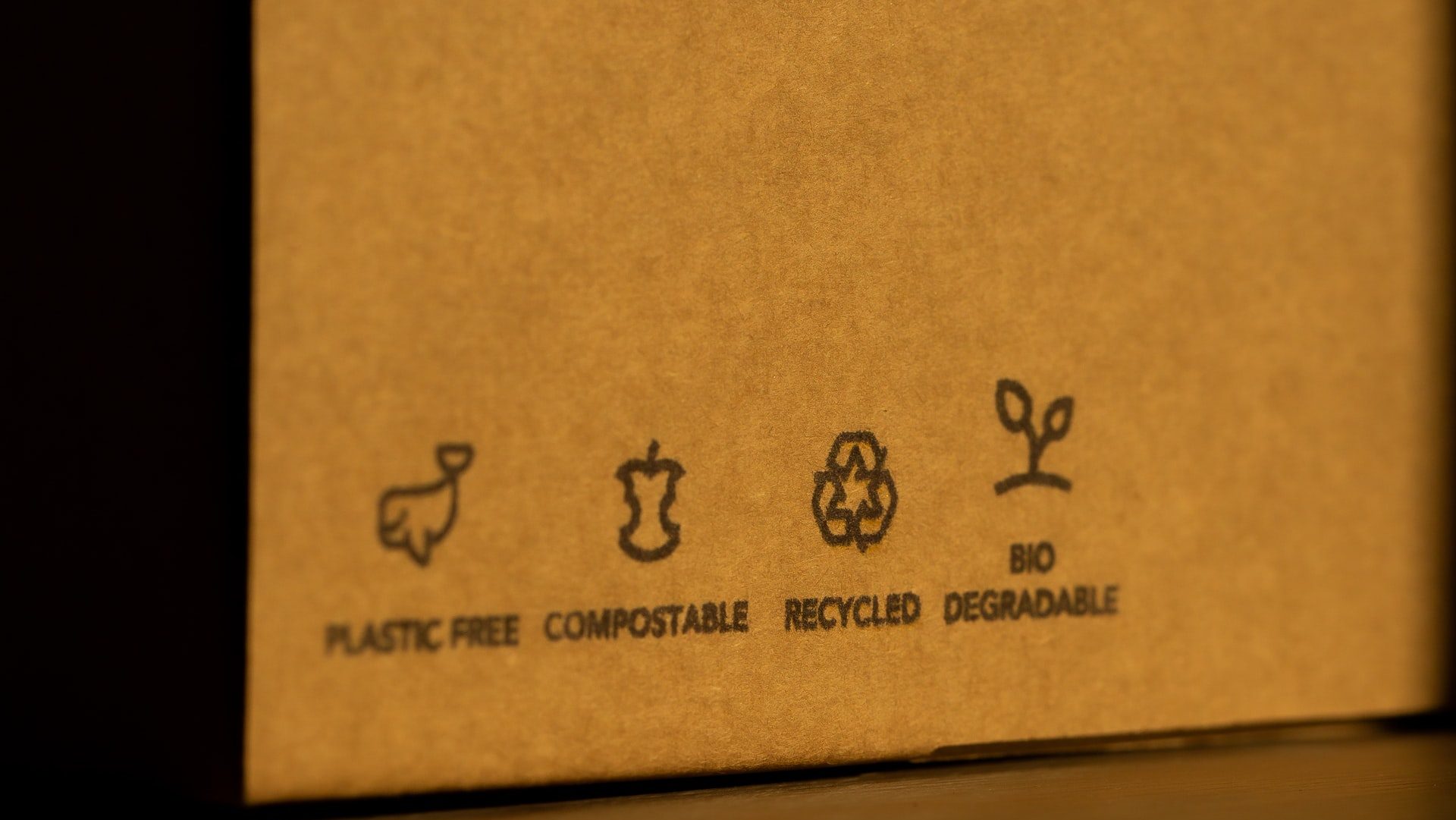 What Biodegradable Really Means