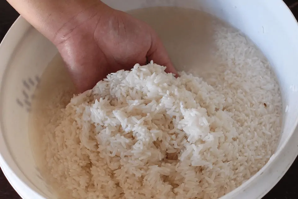 How To Make Sticky Rice In A Rice Cooker: a hand reaching into a white bowl full of washed, uncooked rice