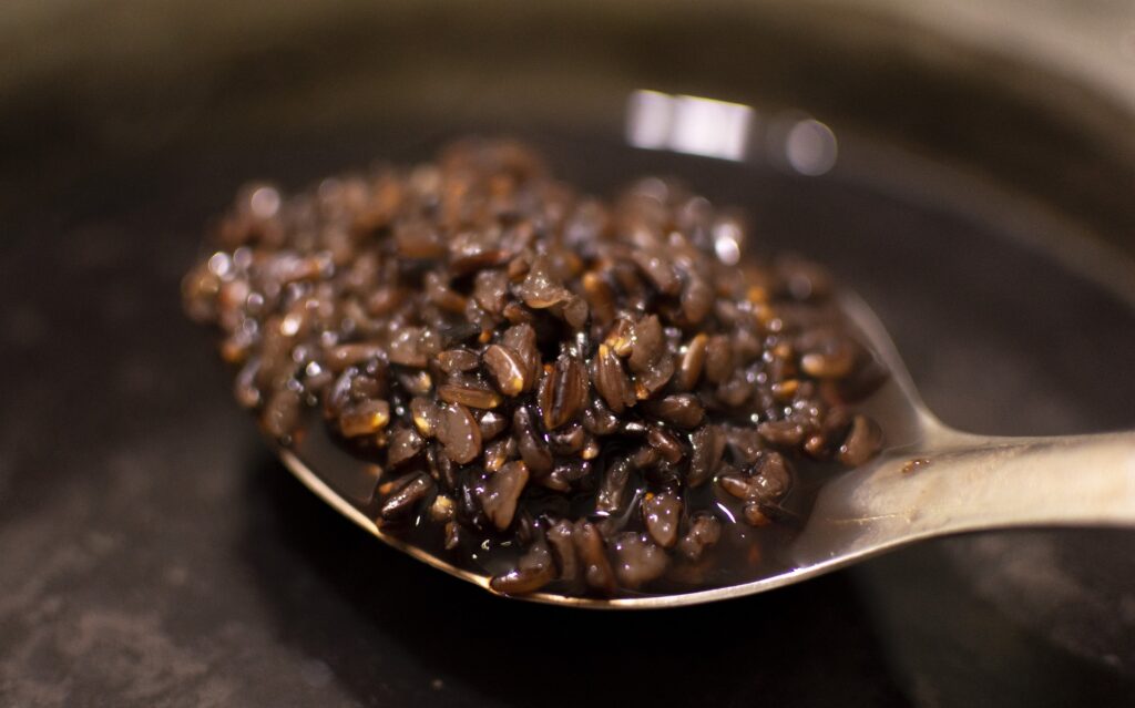 a spoonful of cooked black rice